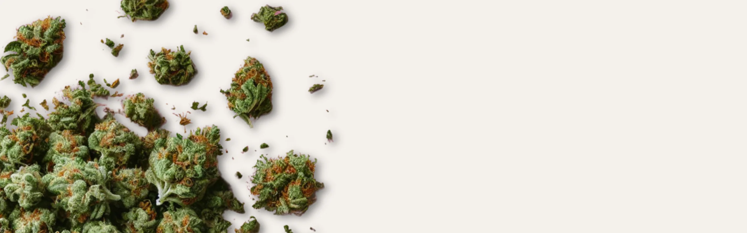L'Excellence du CBD Français
